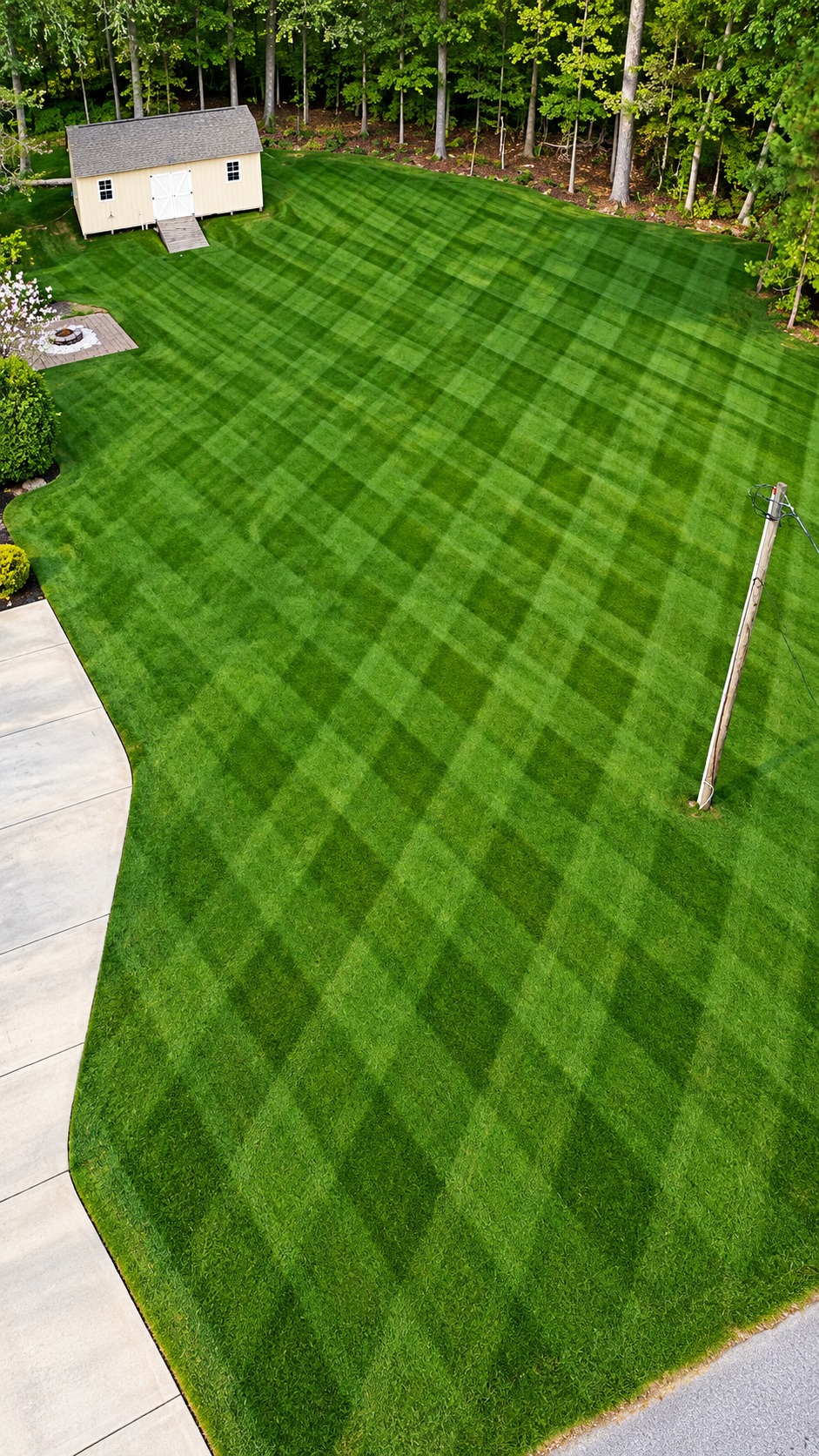 FSIC green lawn project in Greensboro North Carolina
